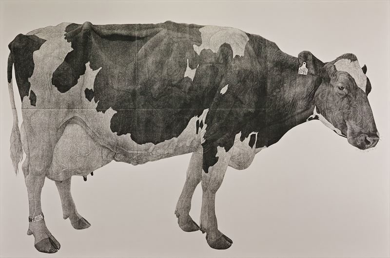 牛と生き 牛だけを描く 木版画アーティスト。【後編】 | どっこいしょニッポン 畜産に生きる。