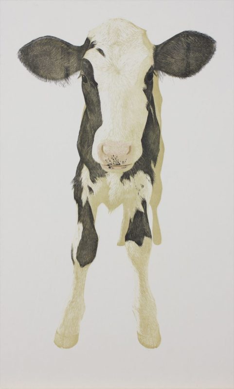 牛と生き 牛だけを描く 木版画アーティスト。【後編】 | どっこいしょニッポン 畜産に生きる。