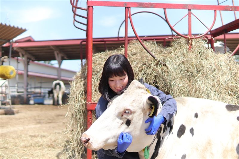 北海道で学ぶ酪農・畜産業界のタマゴたち！［帯広畜産大学編