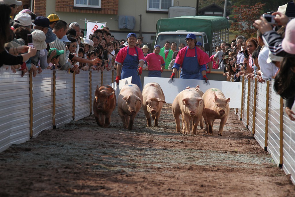 競馬ならぬ 競豚 に大爆笑 とことん楽しい豚の祭典 どっこいしょニッポン
