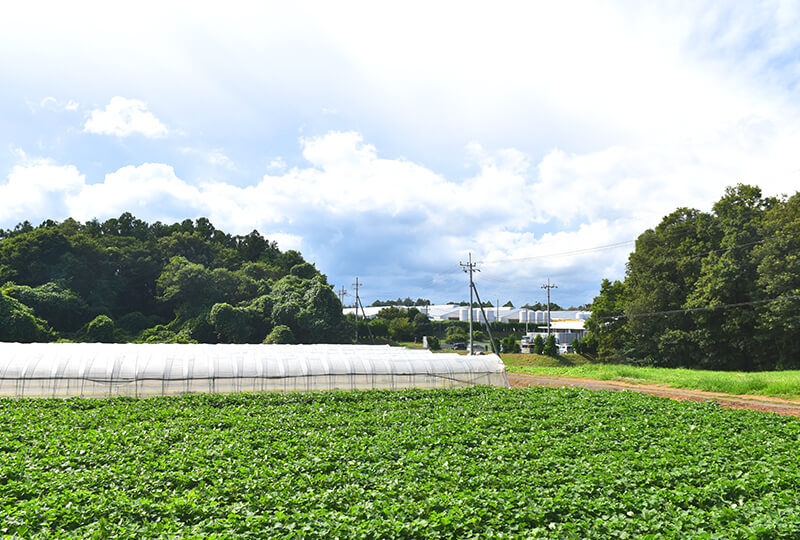 倉持産業株式会社の周辺