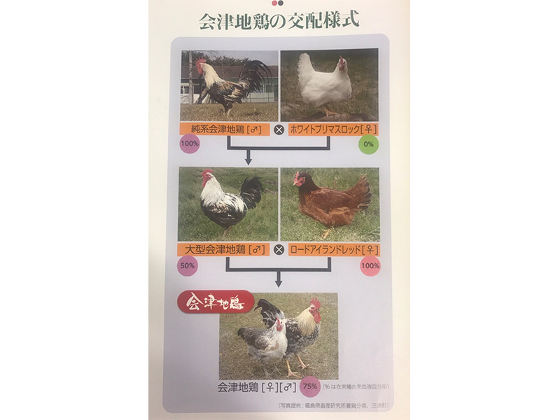 会津地鶏
