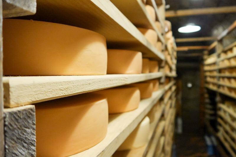 共働学舎新得農場チーズ工房の熟成庫