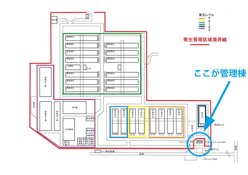 豚コレラ Csf ってそもそも何 命を無駄にしないために知っておくべきことって 生産現場の専門家に聞いてきた どっこいしょニッポン