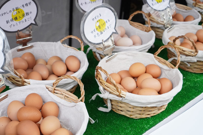 全国から選りすぐりの卵が東京 巣鴨に集結 週末だけ開く 幻の卵屋さん どっこいしょニッポン