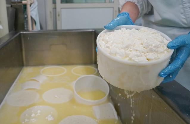 チーズづくりの過程でホエイ（乳白色の液体）は誕生します